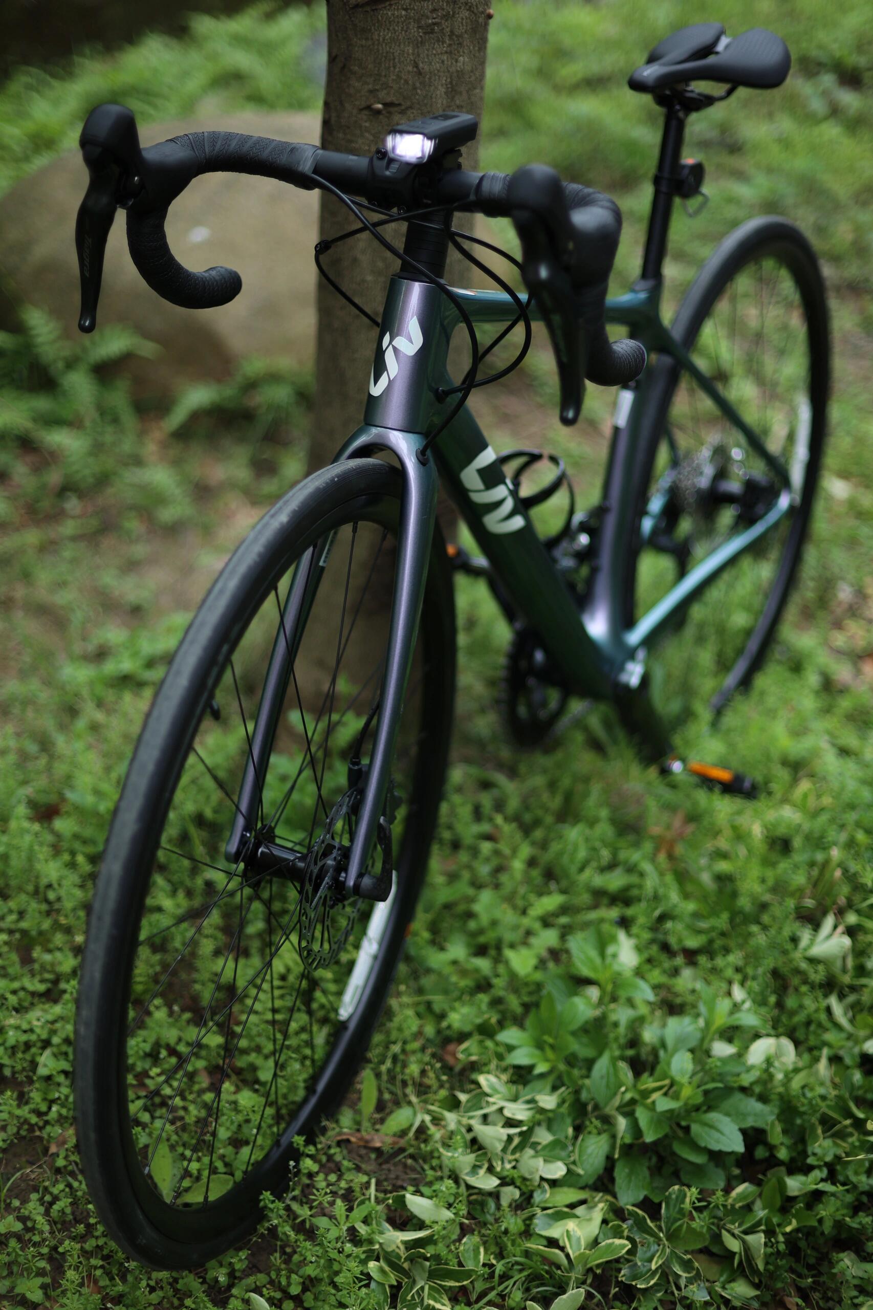 捷安特giant自行車(chē)